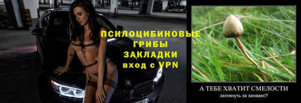 хмурый Вязьма