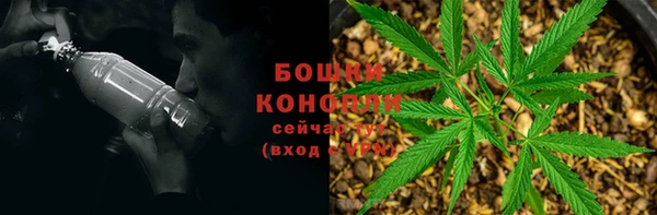 молекула духа Вязники