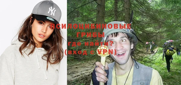 хмурый Вязьма