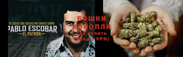 молекула духа Вязники