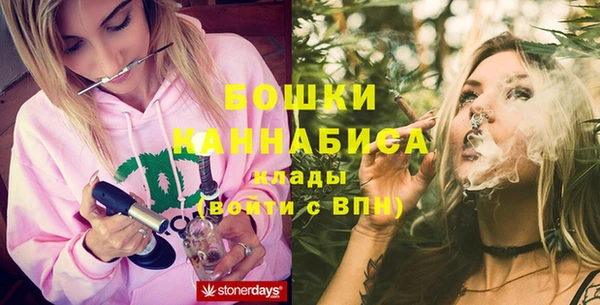 молекула духа Вязники