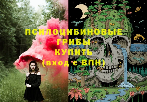молекула духа Вязники