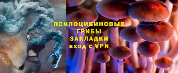 хмурый Вязьма